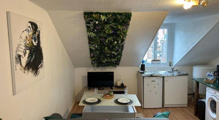 Wonderful rental apartment | Pets are welcome — photo 2