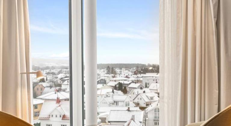 Beautiful serviced apartment | Pets are welcome — photo 5