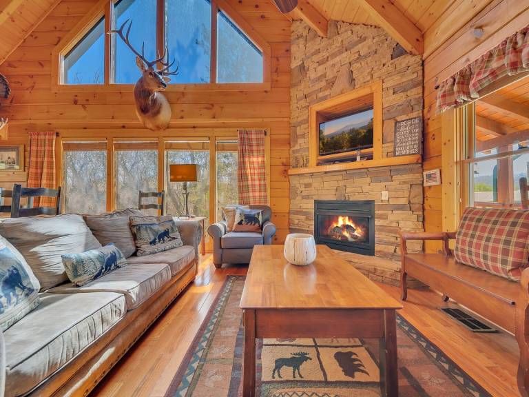 Cabin with private pool — photo 4