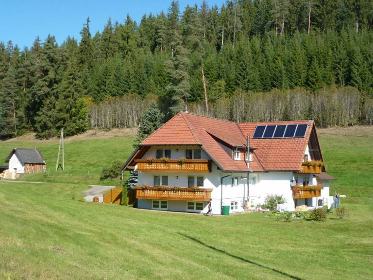 foto4