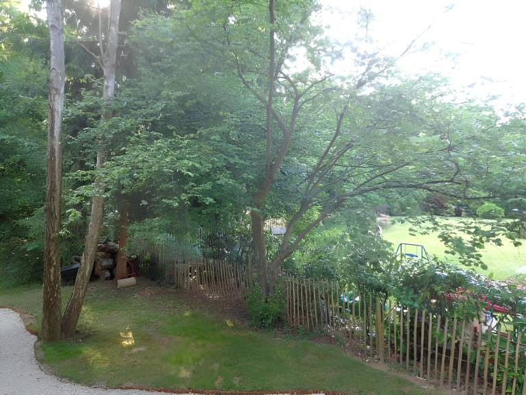 foto38
