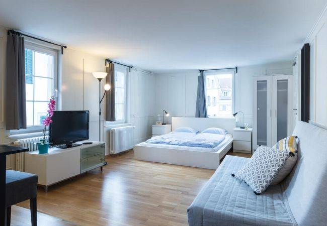 Ferienwohnung Zugersee