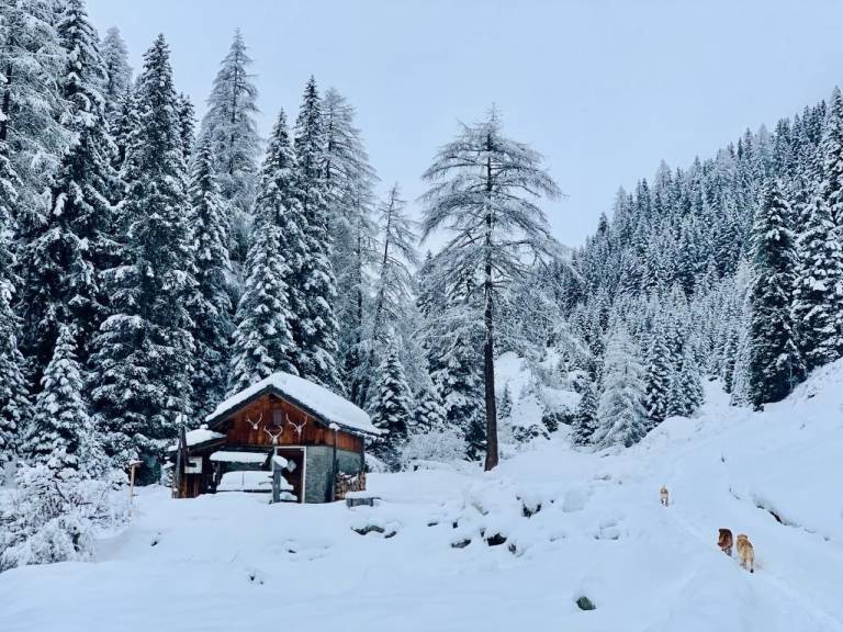 Casale  Livigno
