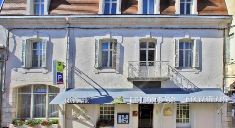 Logis Hotel Le Lion d'Or in Vienne