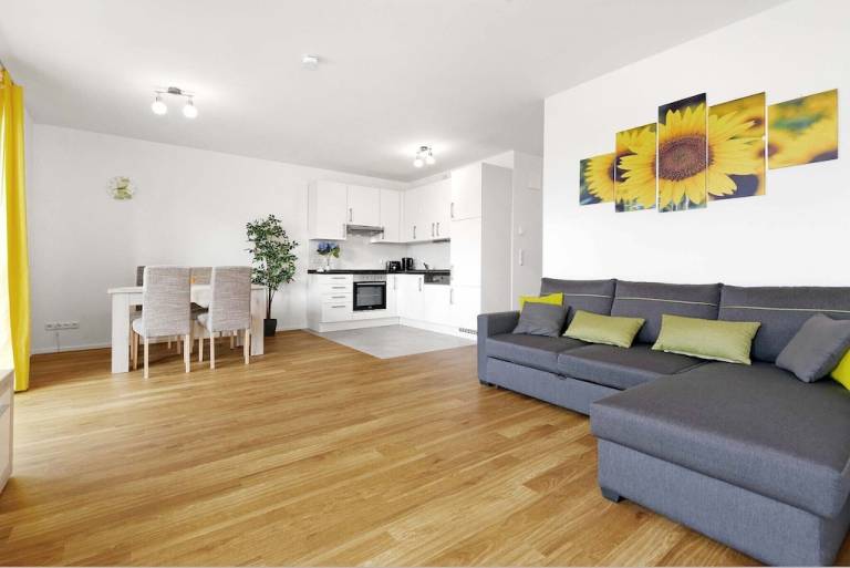 Apartment  Rosenthal
