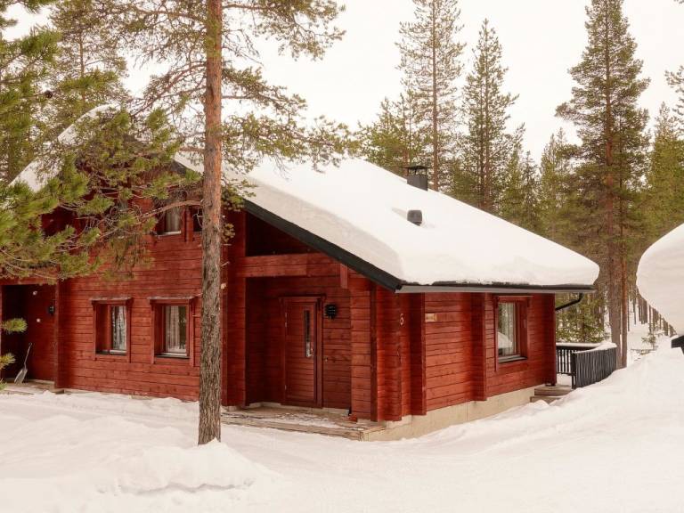 Ferienhaus  Levi