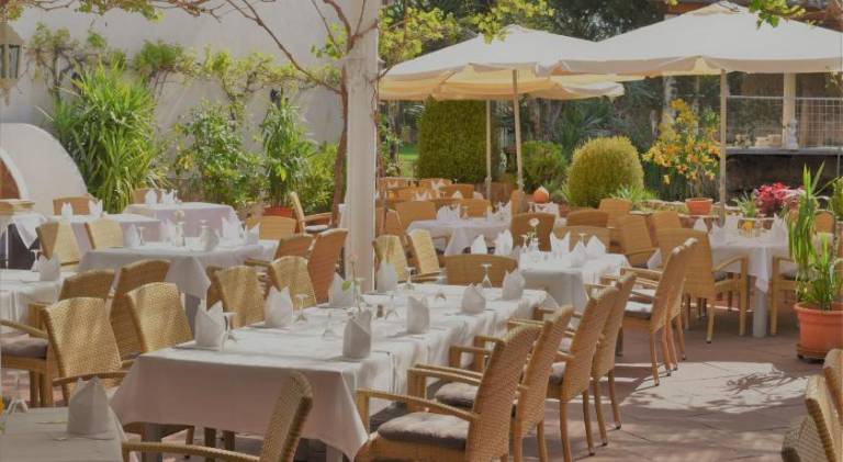 Winzergarten Hotel-Restaurant — photo 2