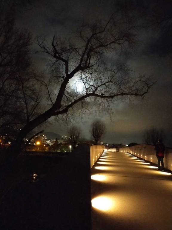 foto40