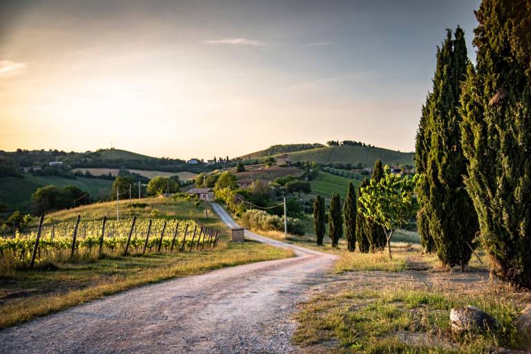 Agriturismo  Montalto delle Marche