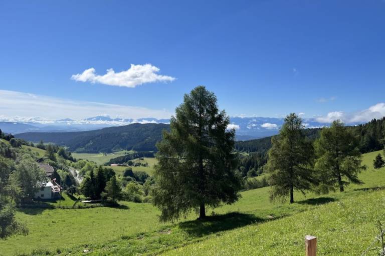 foto21