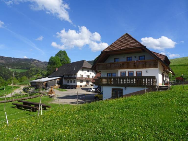 foto6