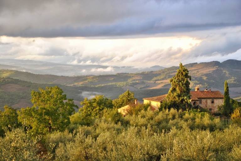 Podere La Fonte: Appartamento Il Susino — photo 4