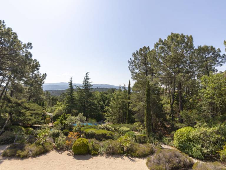 foto4