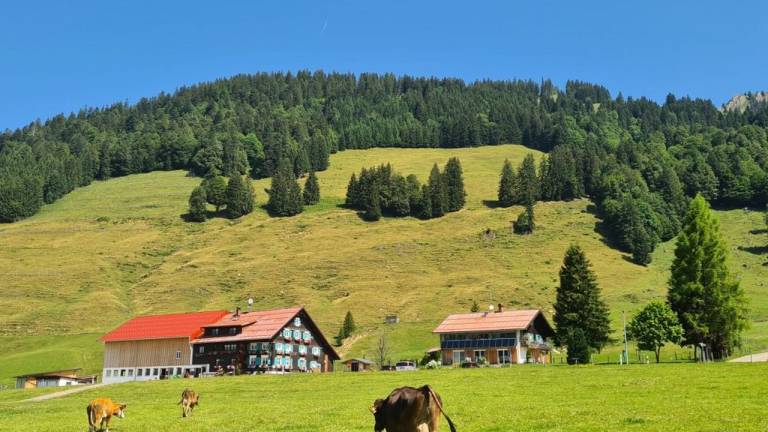 Ferienwohnung  Balderschwang