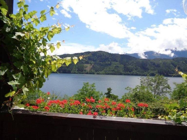 Family-friendly apartment with BBQ, patio & yard | Lake view | Pets allowed — photo 3