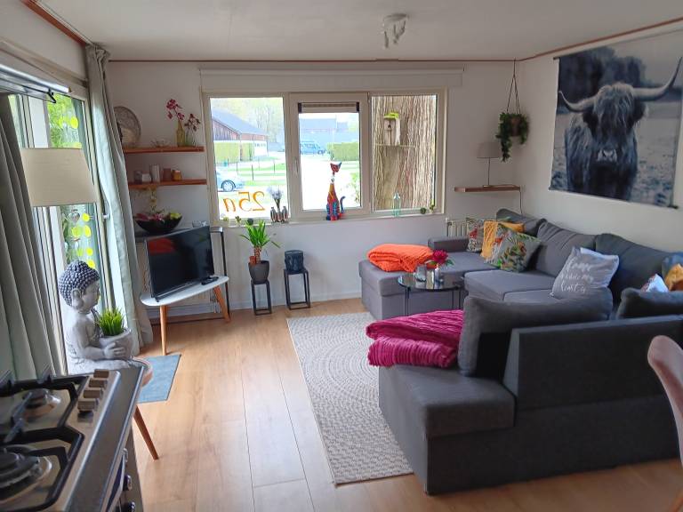 foto2
