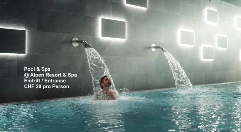 Serviced apartment with garden, pool & sauna | Next to the ski | Pets allowed — photo 3