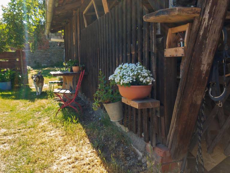 foto32