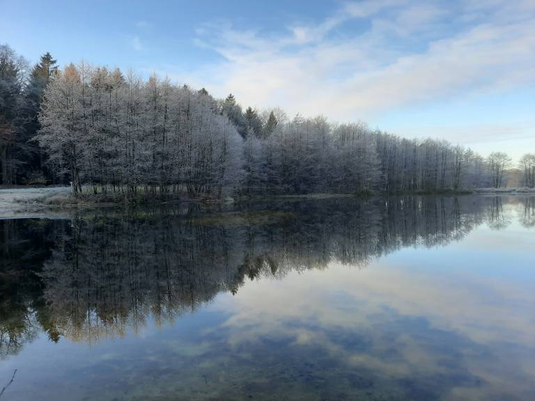 foto41
