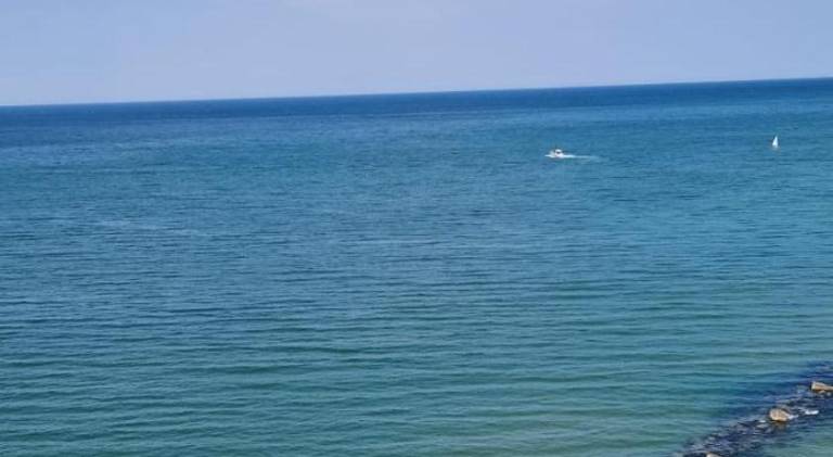 Rental apartment with pool | Next to the beach | Pets allowed in Misano Adriatico