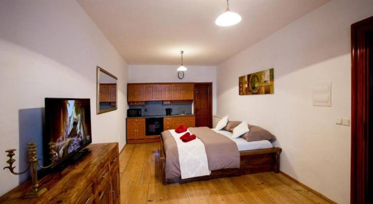 Apartment | Close to Holy Trinity Column | Pets allowed — photo 2