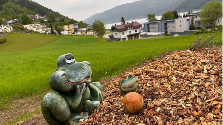 Ferienwohnung Ossiacher See