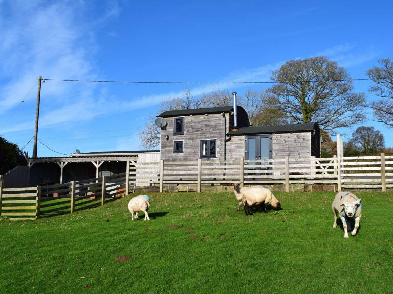 Cottage  Hope Bagot