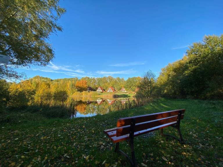 foto17