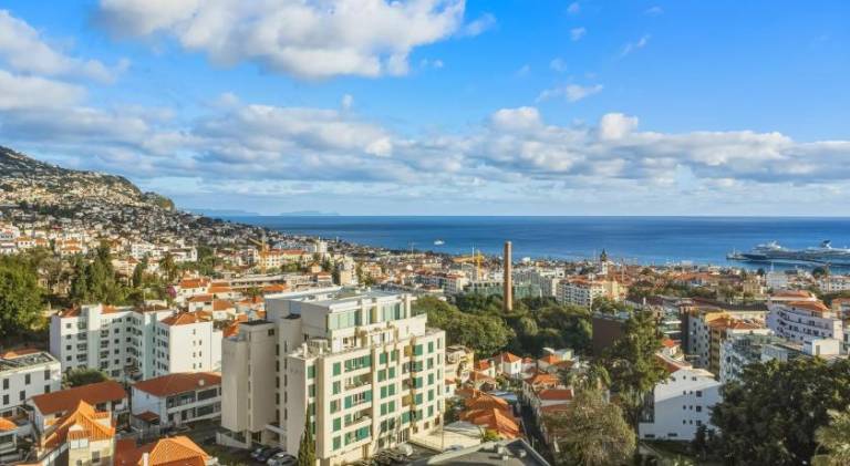 Holiday apartment with terrace | Close to Cathedral of Funchal | Dogs allowed — photo 5