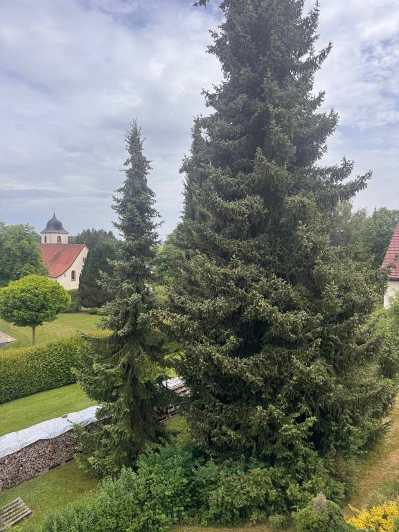 foto22