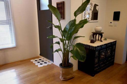 foto9