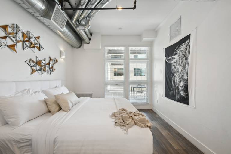 Cowboy Muse Spacious 3BR RiNo Loft Walk to Mission Ballroom Largest — photo 3
