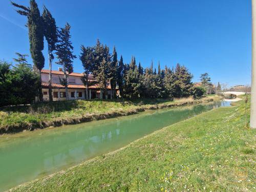 Apartma Dragonja