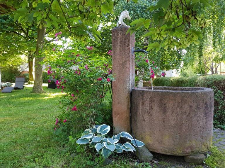 foto30