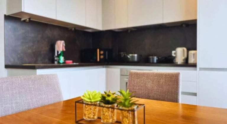 Apartment | Close to Museum of Science and Industry — photo 4