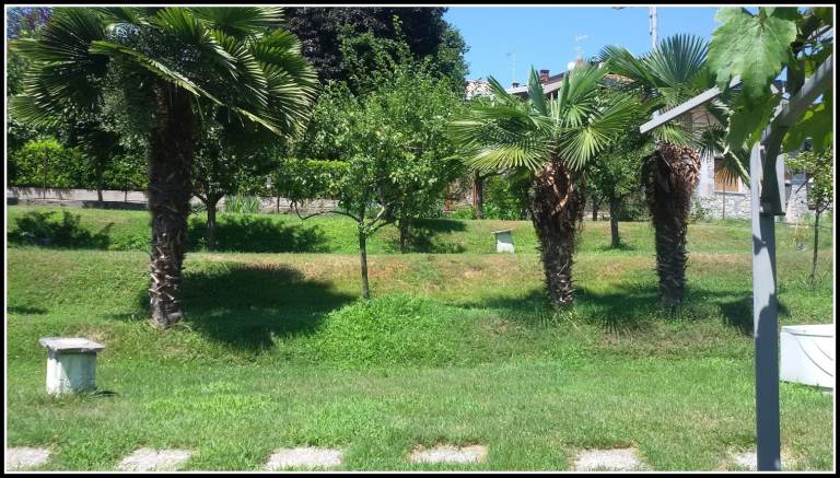 foto15