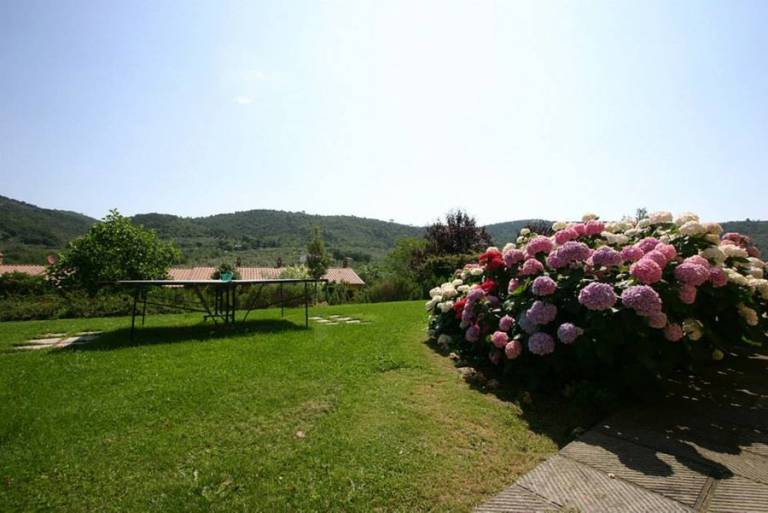foto40