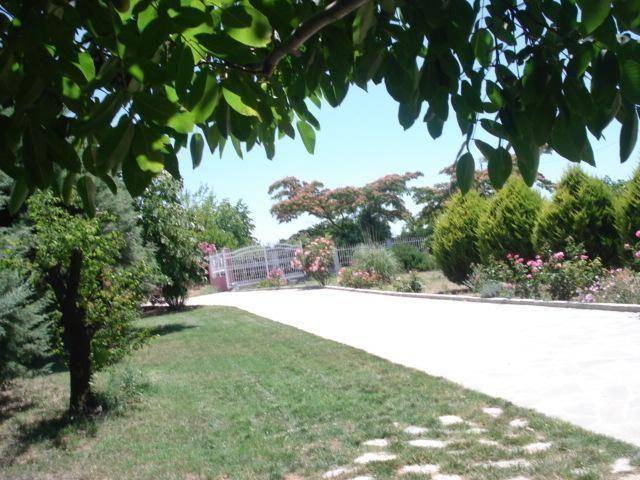 foto19