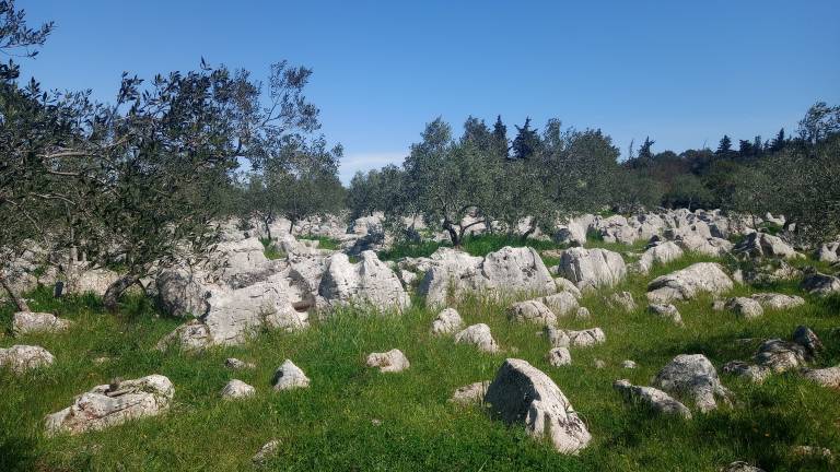 foto19