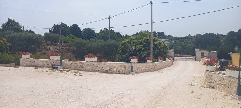 foto41