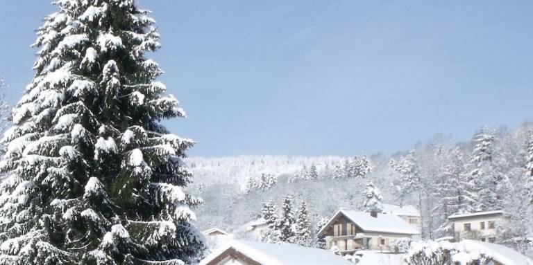 Logement  Le Thillot