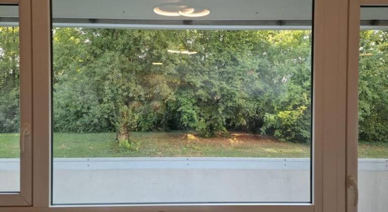Rental apartment | Pet-friendly — photo 5
