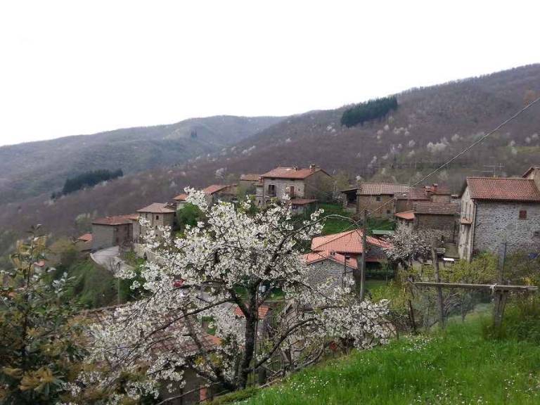 foto16