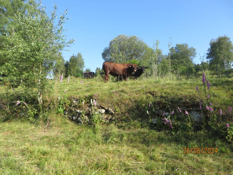 foto24