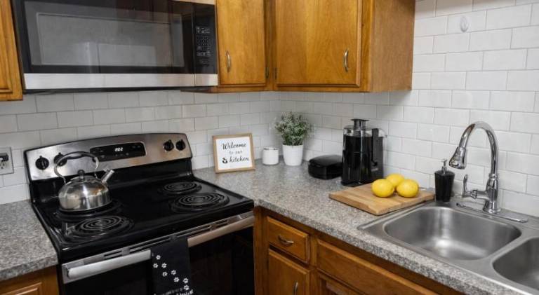 Pleasant holiday apartment | Dogs allowed — photo 3