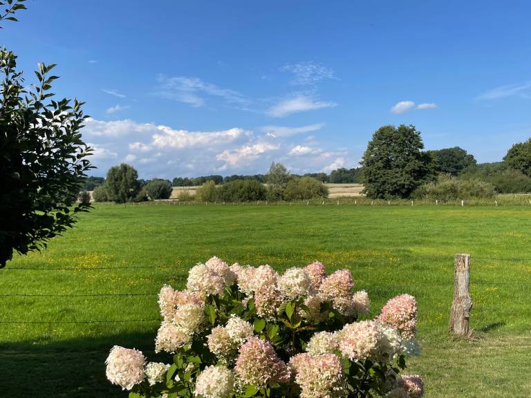 foto19