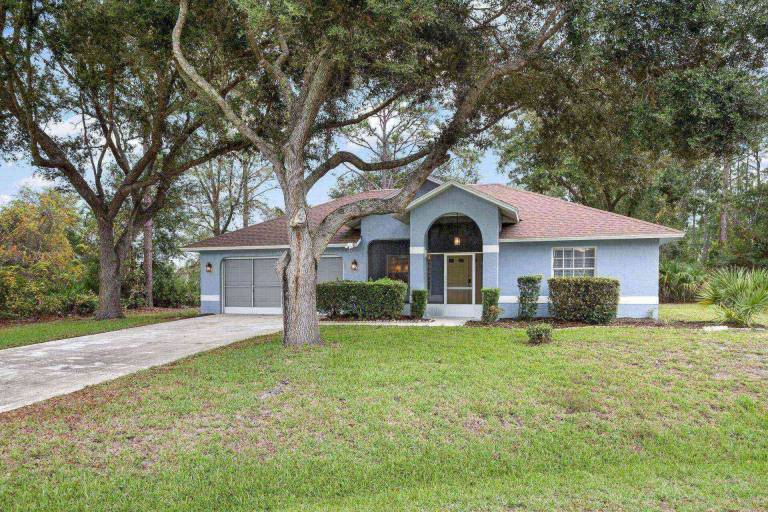 House Palm Coast