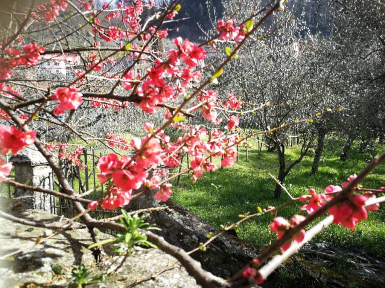 foto24