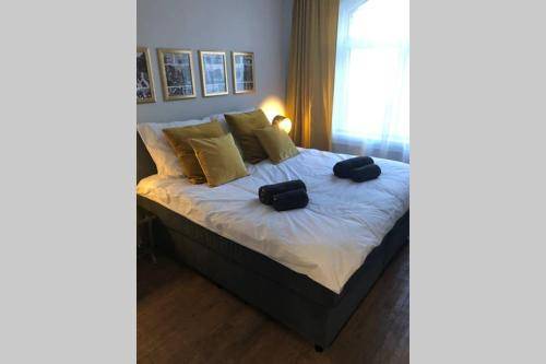 foto12