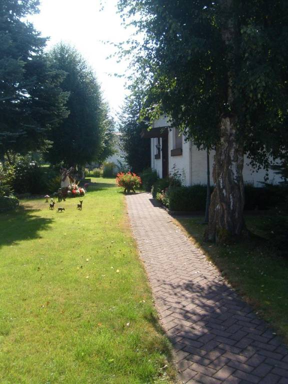 foto7